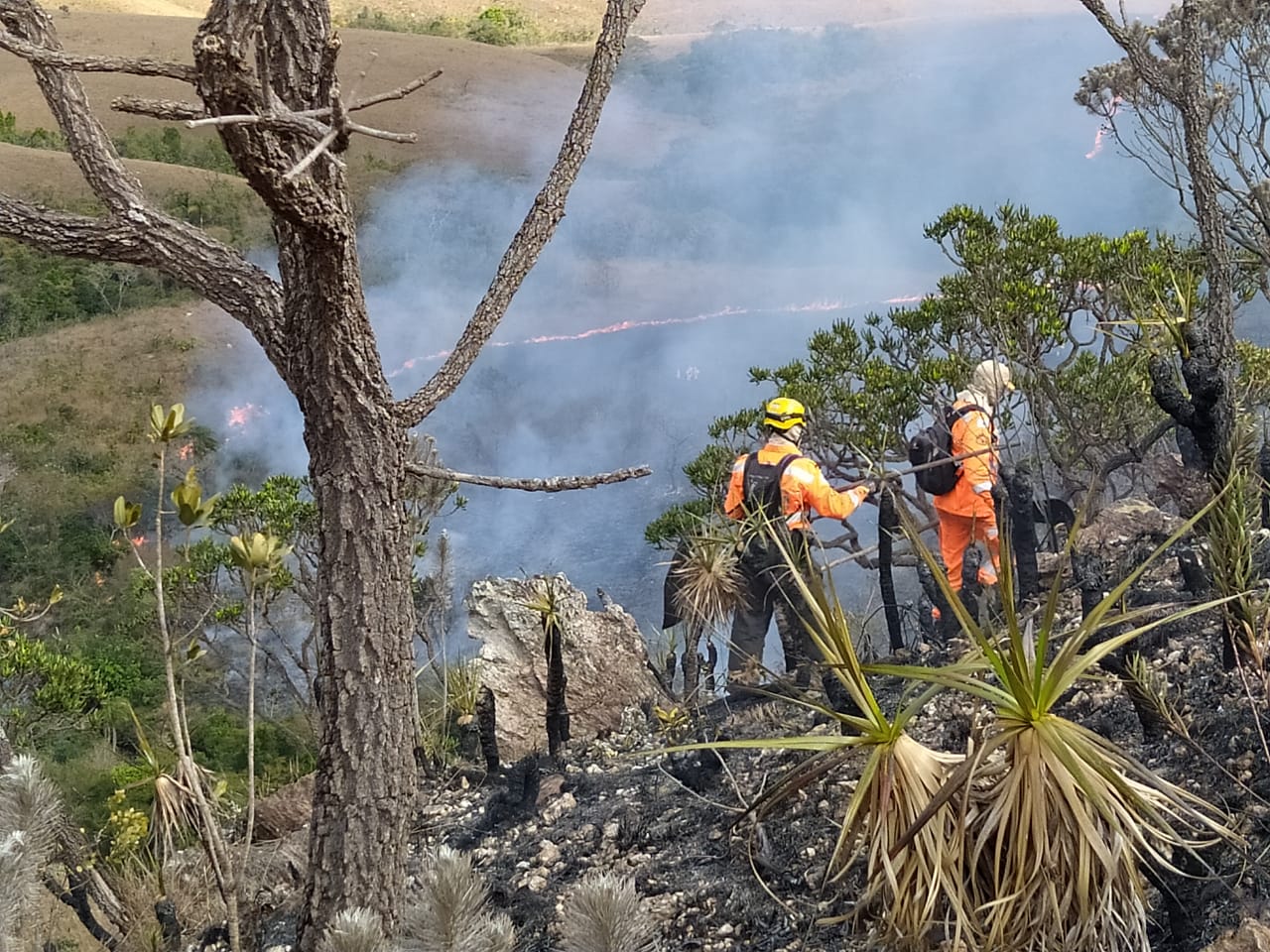 Heróis do fogo salvam a Serra da Canastra  para o futuro.