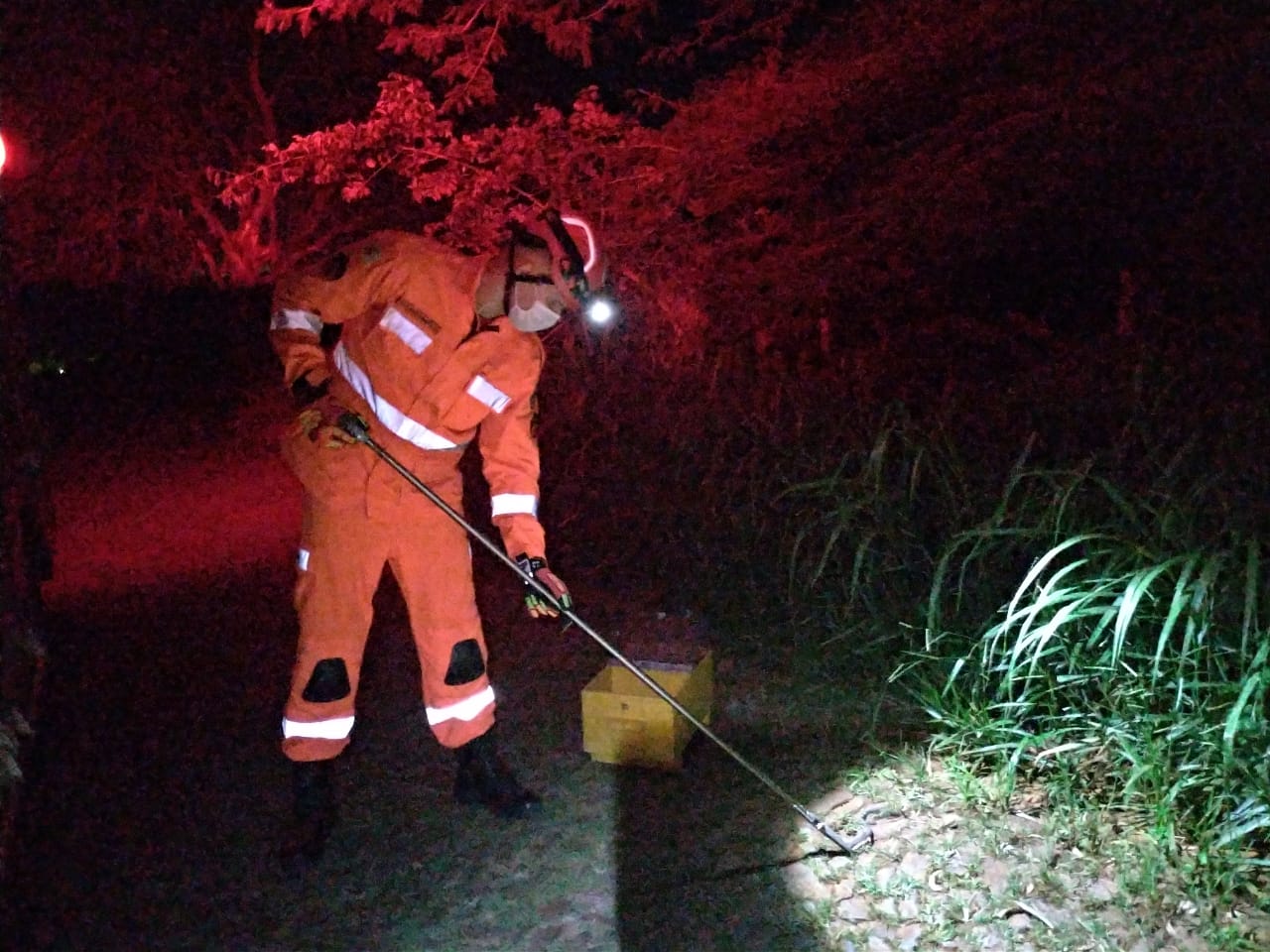 Bombeiros de Araxá capturam cobra  no bairro Portal Veredas