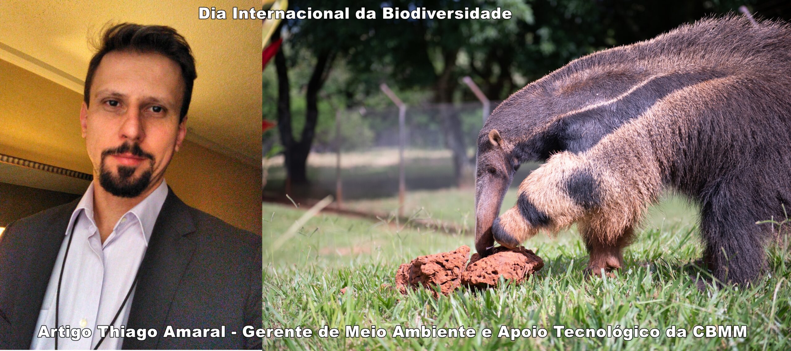 Dia Internacional da Biodiversidade