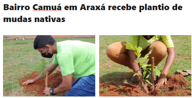 Bairro Camuá em Araxá recebe plantio de mudas nativas