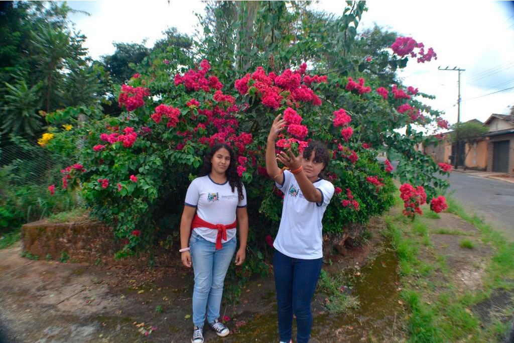 Alunos da Escola Professora Auxiliadora Paiva são finalistas do Concurso Cultural Restaura Natureza; votação popular acontece até 25 de maio