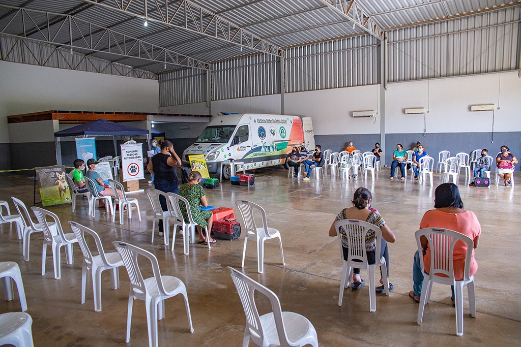 2ª etapa do mutirão CastraAção acontece de 9 a 17 de junho; cadastramento está aberto