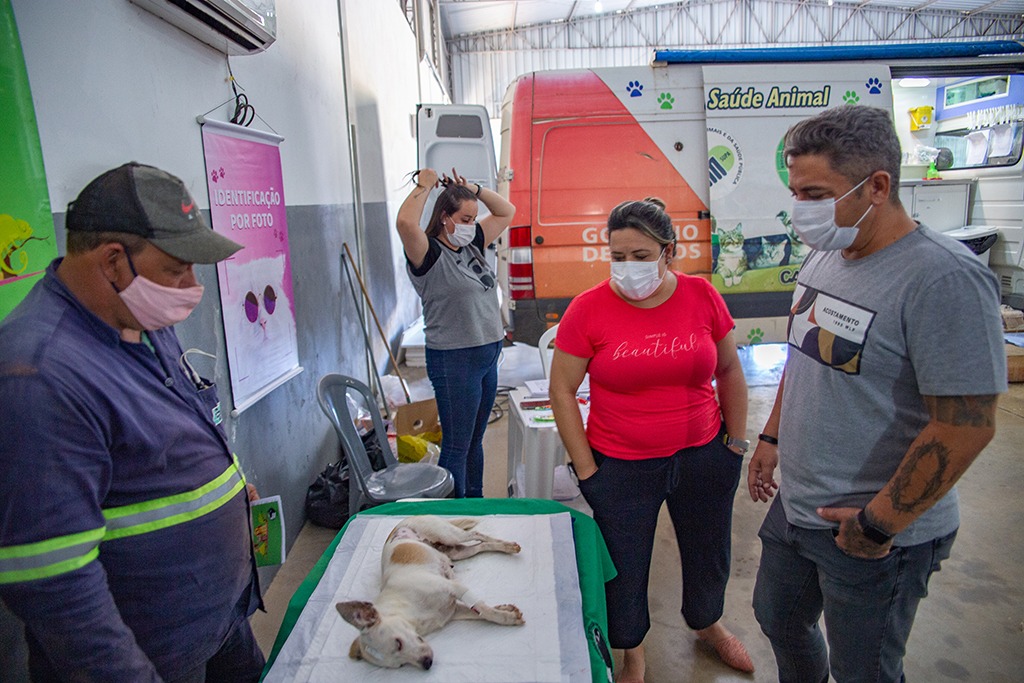 Prefeitura de Araxá realiza mais de 6.700 castrações de cães e gatos em menos de 2 anos