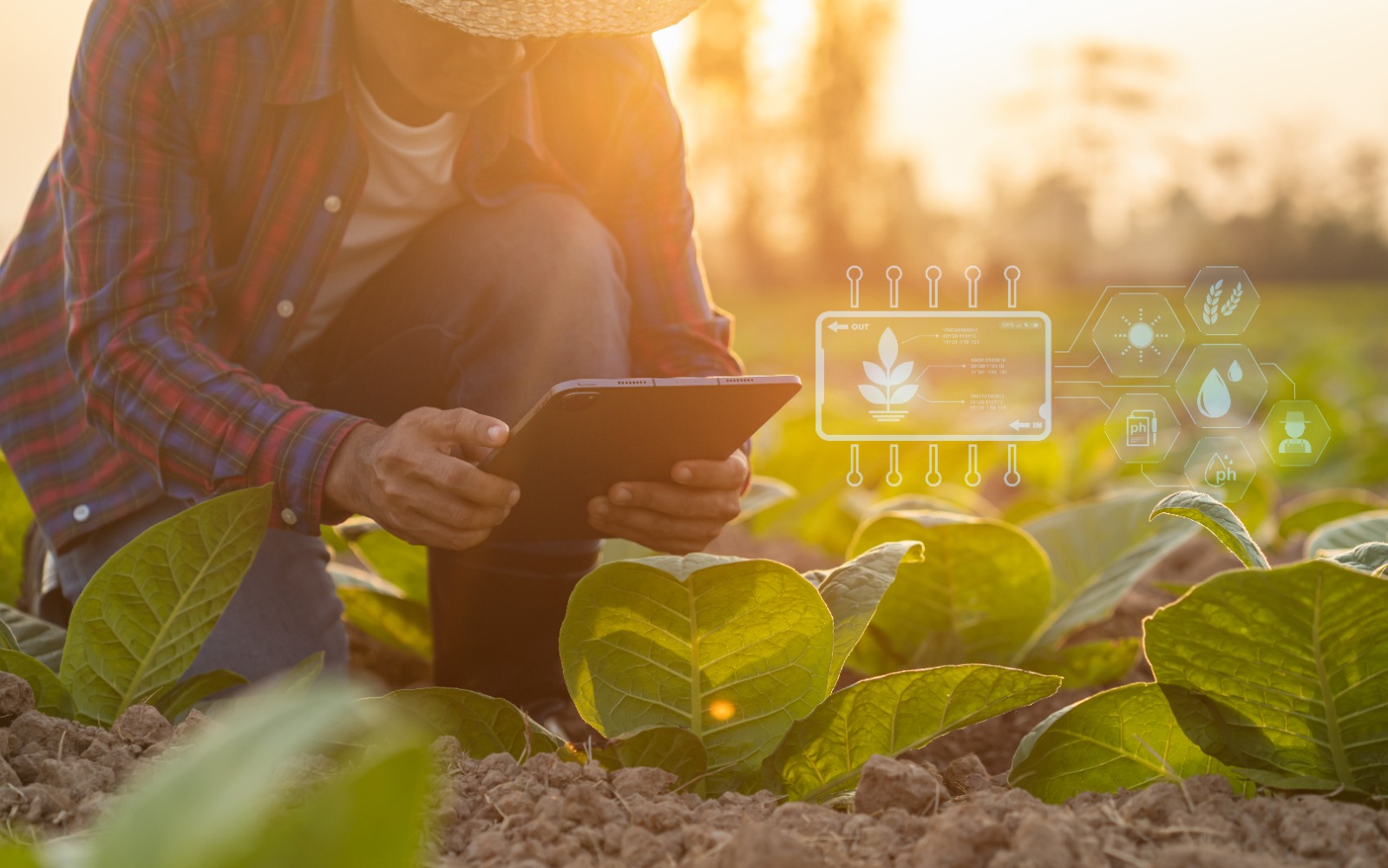 Agro impulsiona crescimento da economia do País