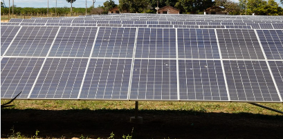 Com projeto inovador da Cemig, Epamig e CPQD, produtores rurais poderão cultivar embaixo de usinas solares
