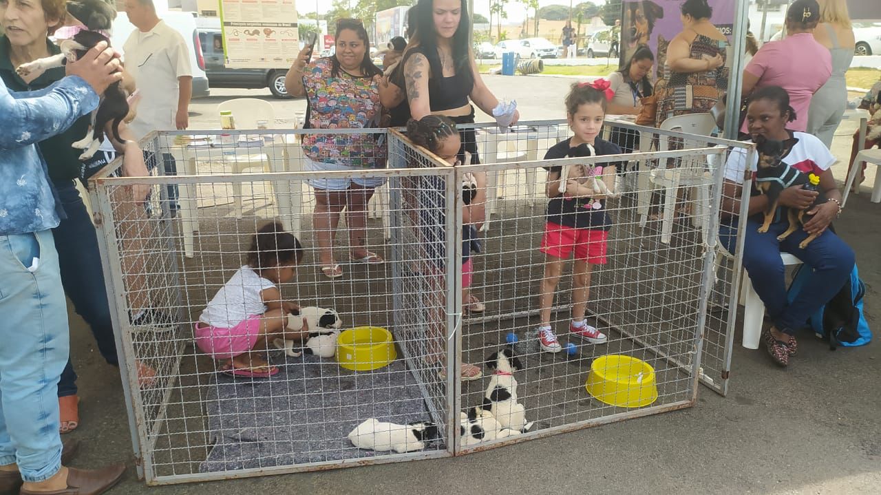 Prefeitura de Araxá promove atividades para pets em parceria com o programa “É o Bicho”