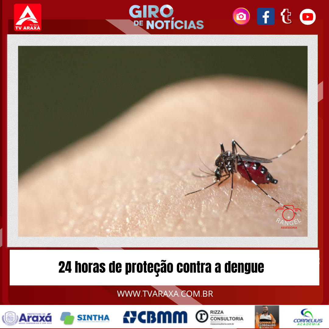 24 horas de proteção contra a dengue