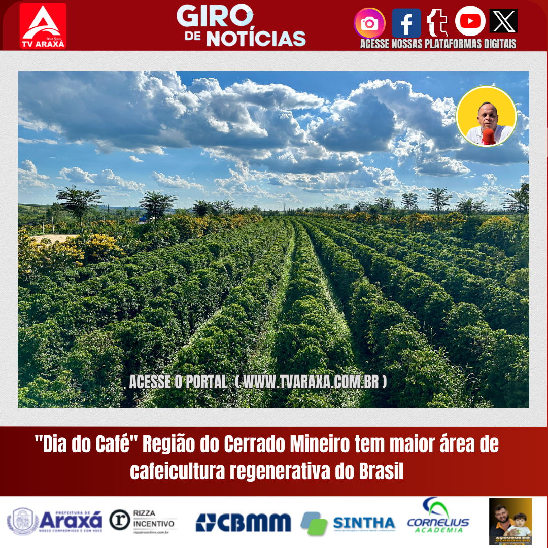 “Dia do Café” Região do Cerrado Mineiro tem maior área de cafeicultura regenerativa do Brasil