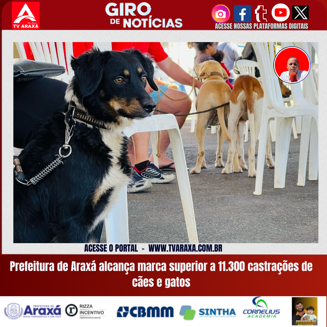 Prefeitura de Araxá alcança marca superior a 11.300 castrações de cães e gatos