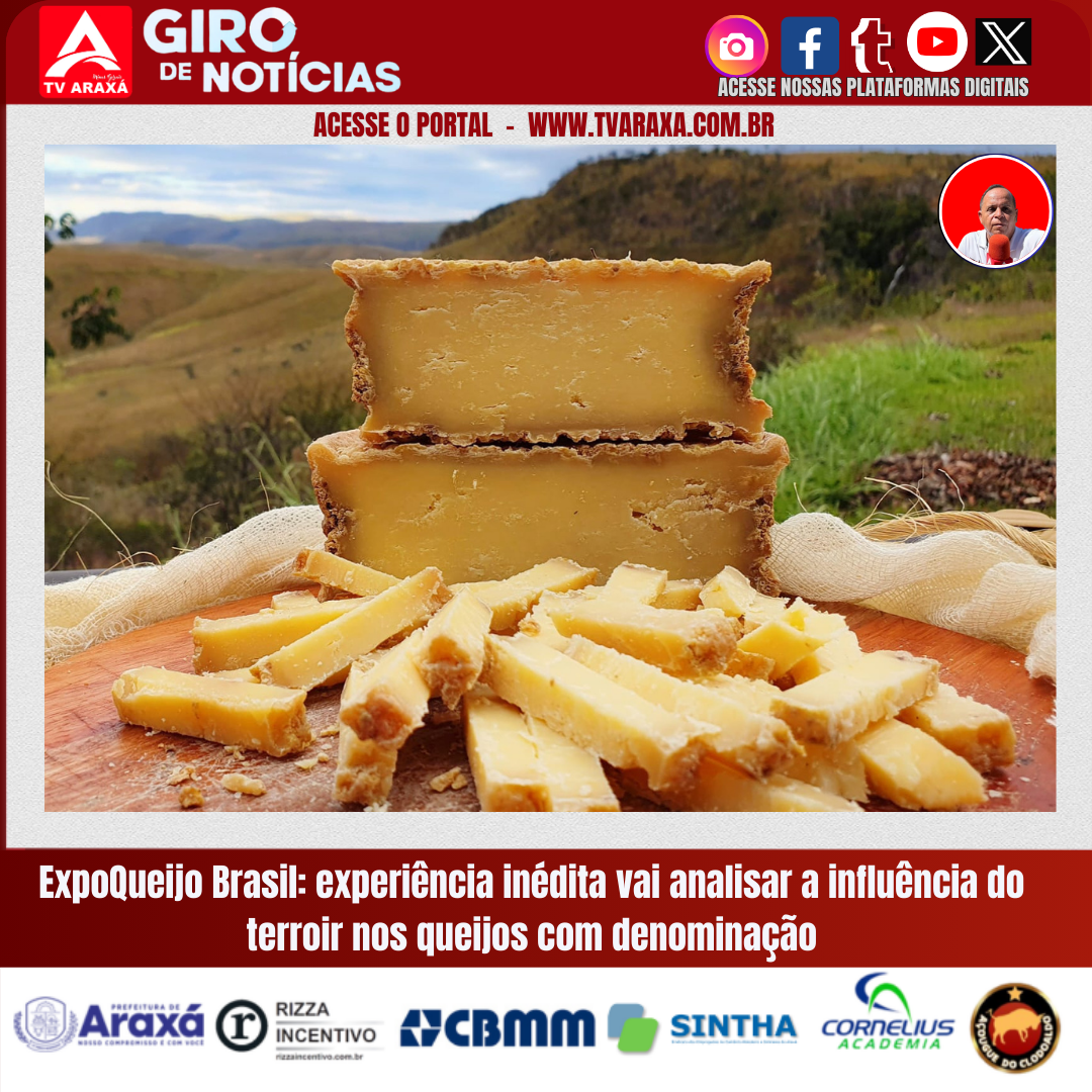 ExpoQueijo Brasil: experiência inédita vai analisar a influência do terroir nos queijos com denominação