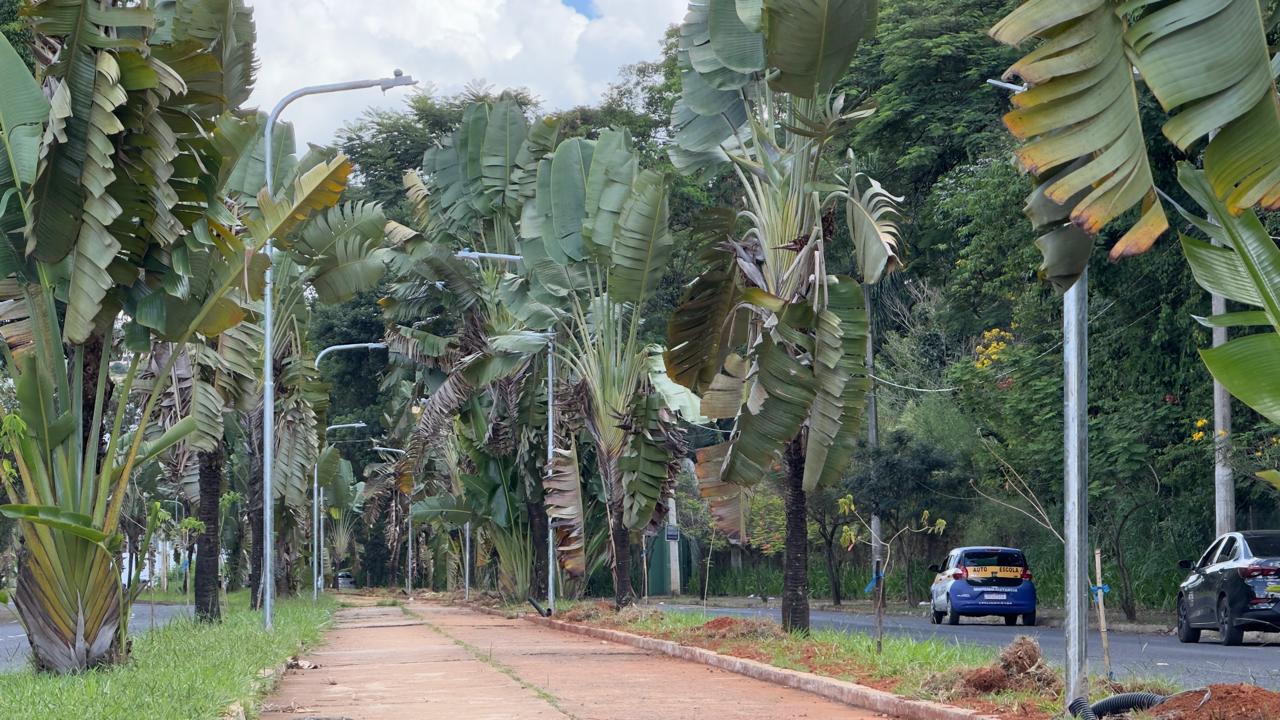 “Caminhada Iluminada”, projeto comtempla  implantação de iluminação nas principais avenidas de Araxá