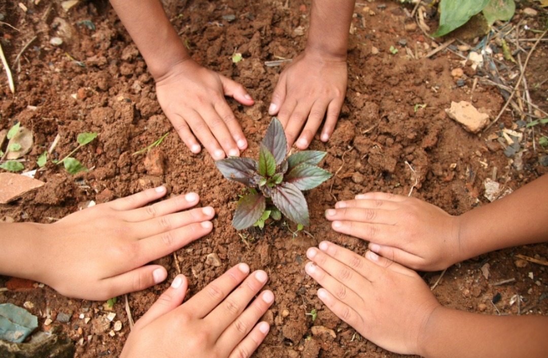 Projeto “Produzindo e Aprendendo” leva educação ambiental e alimentação saudável às escolas municipais