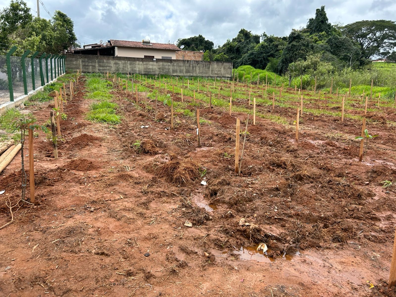 Parceria público-privada propõe recuperação de áreas verdes em Araxá