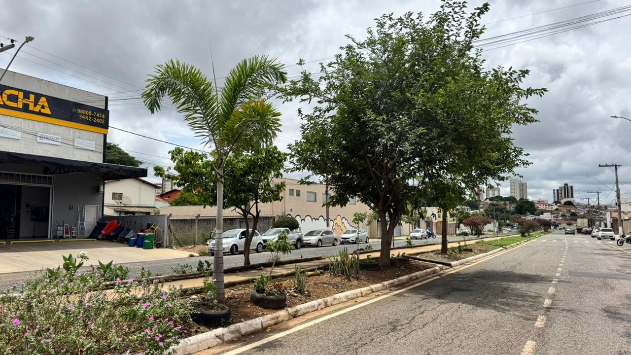 Prefeitura de Araxá orienta moradores sobre plantio correto em áreas públicas