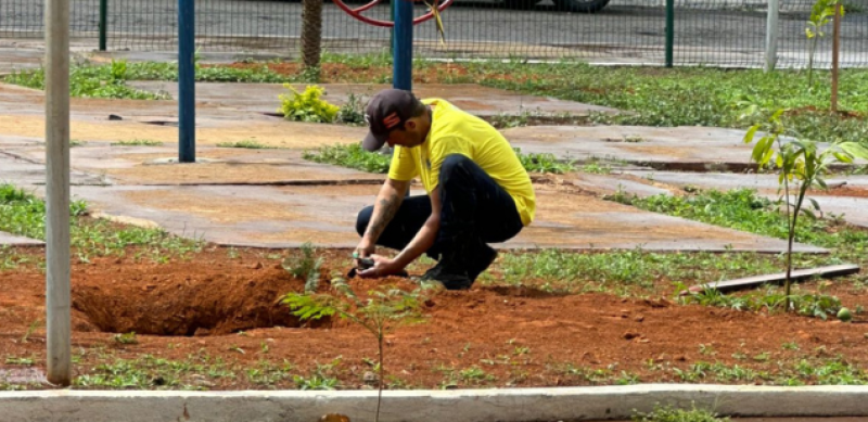 Praça Mangueira em Araxá ganha novas árvores