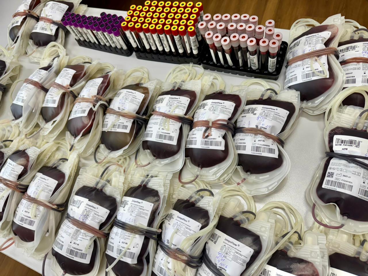 Câmara Municipal de Araxá realiza campanha de doação de sangue em parceria com a Fundação Hemominas