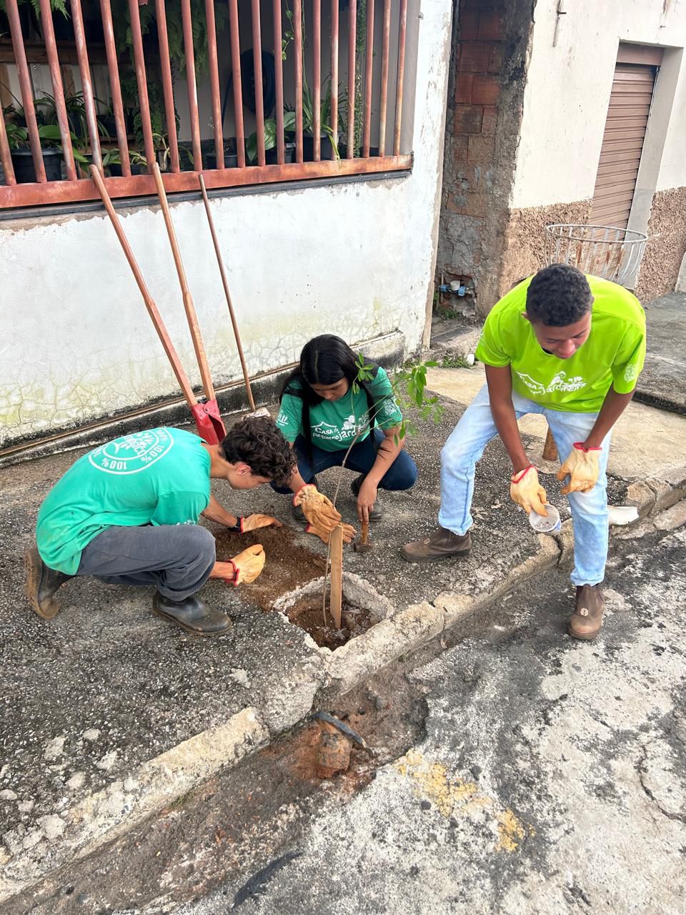 Uma Árvore na Minha Calçada: parceria IPDSA e Casa do Pequeno Jardineiro realizam plantio de árvores em Araxá