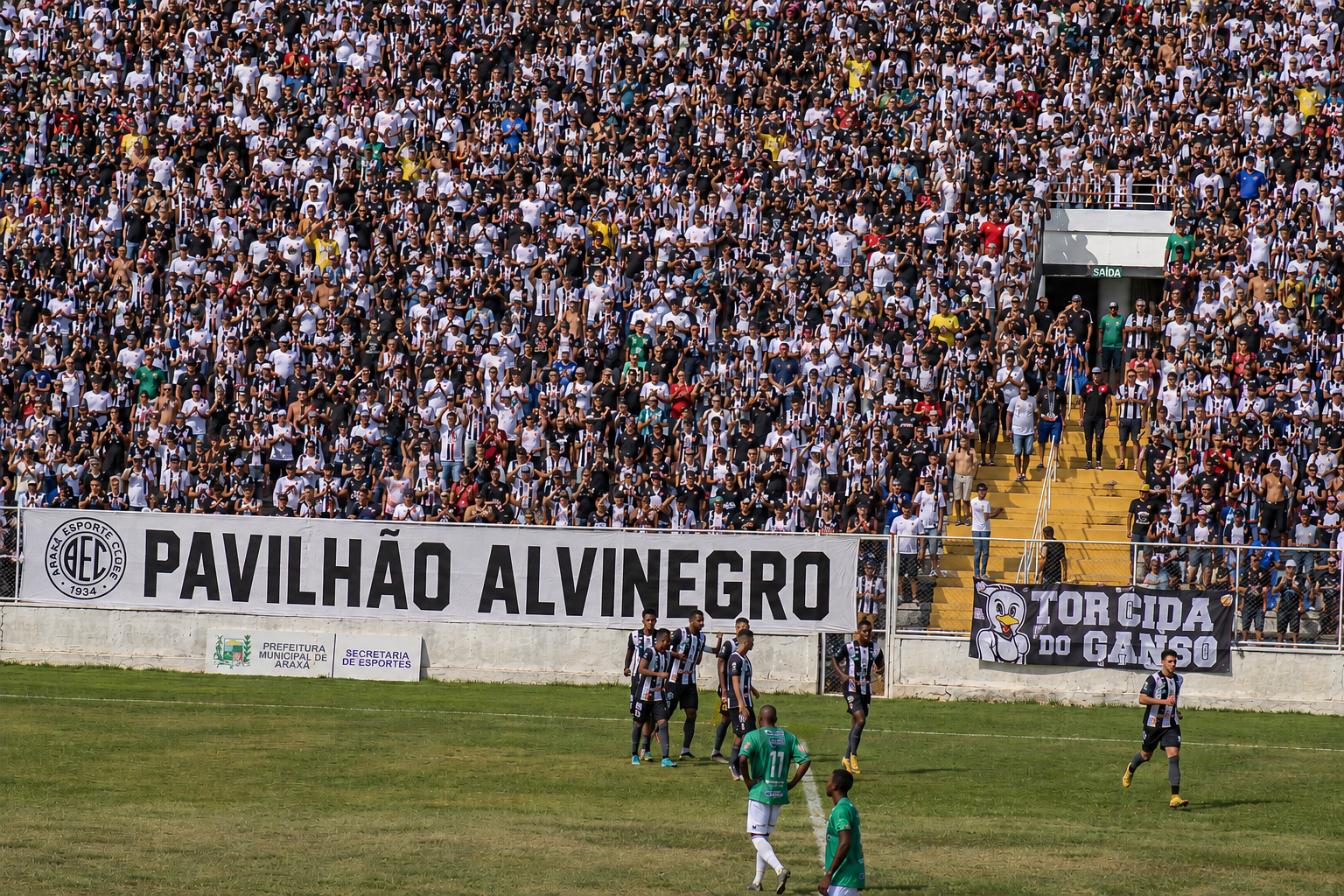 GANSO ESTÁ DE VOLTA! TORCIDA ALVINEGRA  ESTÁ EM FESTA NO MAJESTOSO EM ARAXÁ