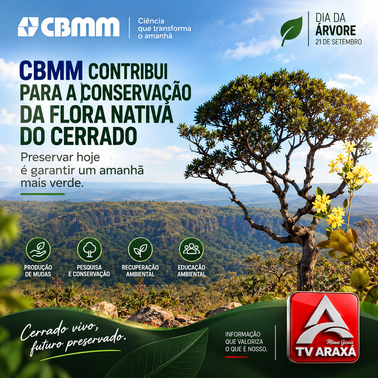 CBMM amplia ações de conservação da flora nativa do Cerrado em Araxá
