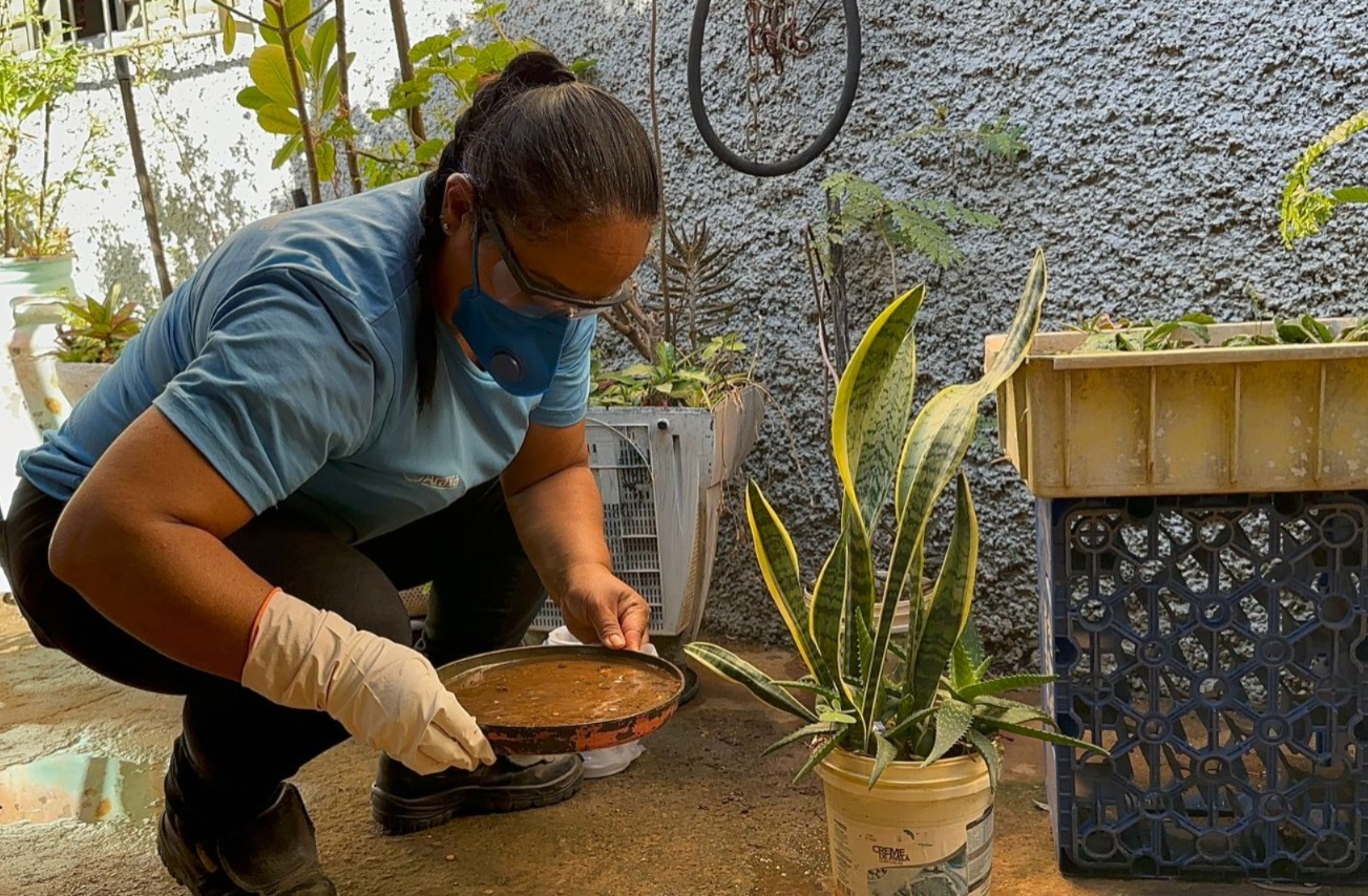 Cuidado com a dengue!  Período chuvoso aumenta risco de criadouros do Aedes e reforça cuidados dentro de casa